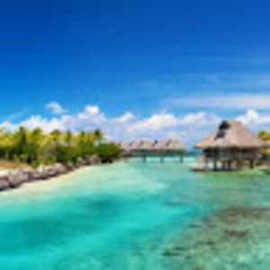 Meet your Posher, Ella